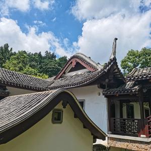 潇潇儿童绘本小屋头像