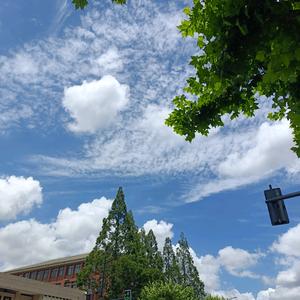 小岛的晚安日记头像