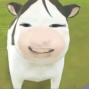 宅.🧊头像