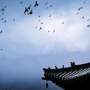 热心市民刘某头像