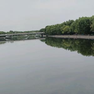 人生如梦初醒头像