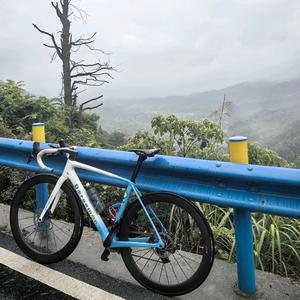 牢鼠头像
