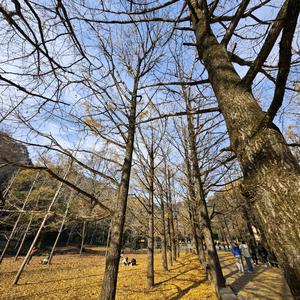 就是不理你头像