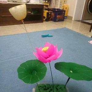 珍开心姐妹头像