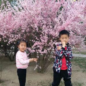 班主任宋老师头像