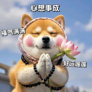 不忘初心～Monica头像