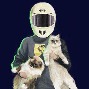 躺在猫砂盆里的狗头像