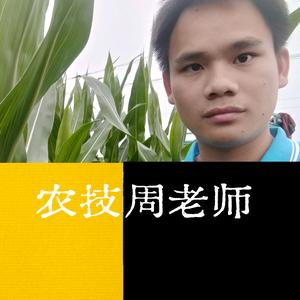 农技周老师头像