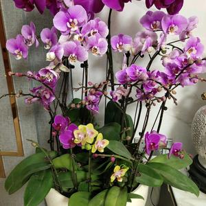 用户8765481578993头像