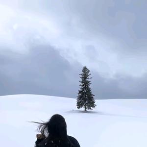 老人爱短剧头像