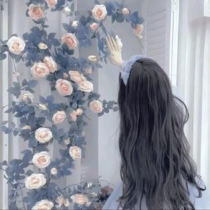 七七好物分享头像