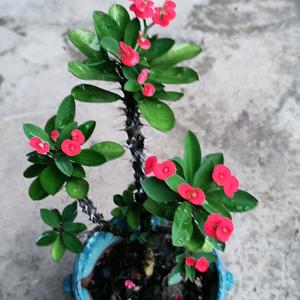 ꧁💖余生꫞꯭🌺安好꫞💖꧂头像