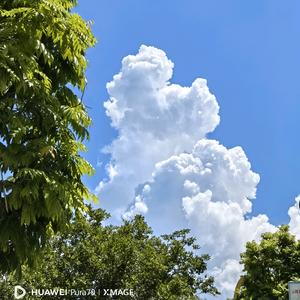 甜吖头像