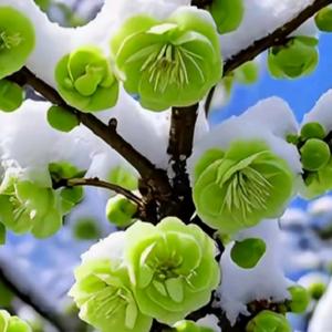 小丁🔥🔥🔥🐠🐠🐠头像