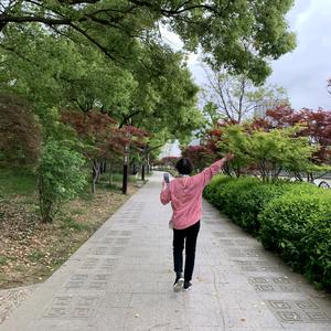 香水🌷🌷🌷百合头像