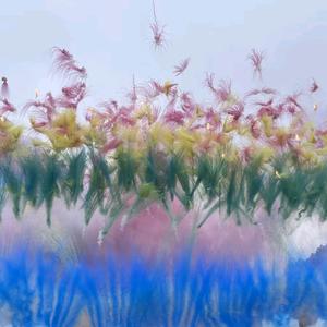 黔贵花火（彩烟墙）🎆头像