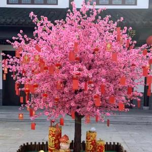 花满苑~绿植盆栽花卉批发零售头像