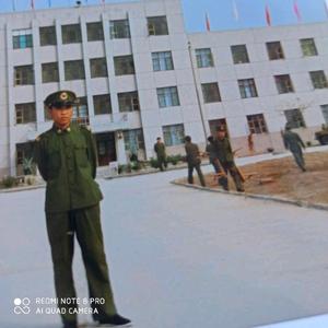 放飞的鸽子头像