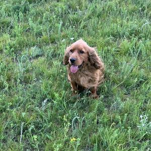 忘却前尘往事头像