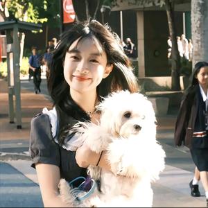 会说话的蛋挞头像