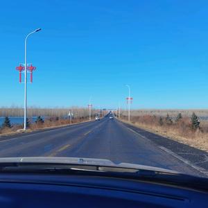 宝爹是高导头像