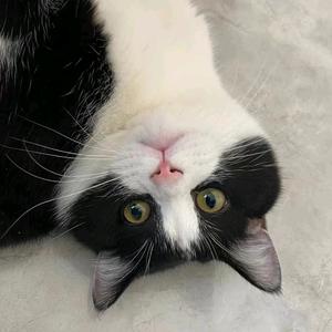 派大吐沫星子.头像