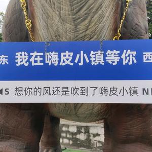 半壶女儿红头像