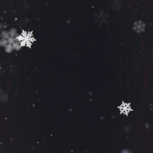 ⭐️⭐️⭐️头像