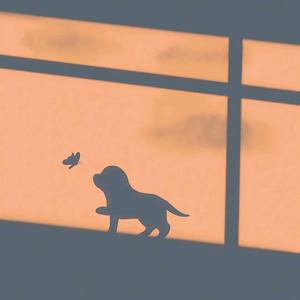 阳阳超会玩头像