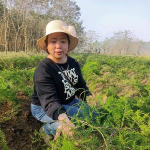 敏姐农业之路头像