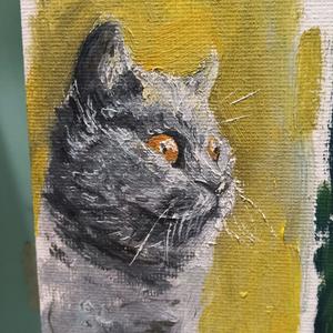 萌宠动物观察员头像