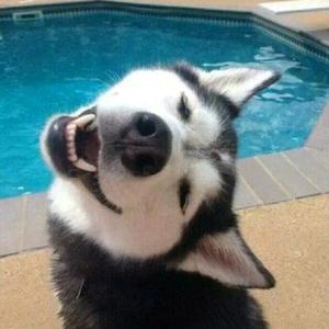 不知名A教练头像