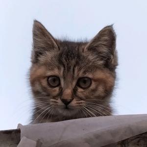 遗落在天边的闪光头像