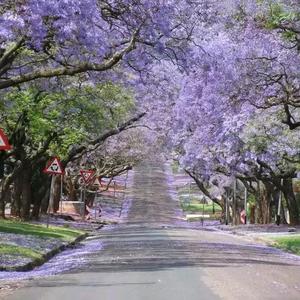 沐(≧∇≦)/头像