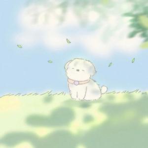 反骨小Y🦀（求关注版）头像