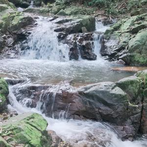 木子♪东  方头像