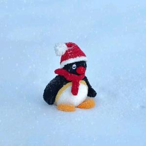 茉莉雨.（南北批头像