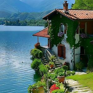 小说都爱看头像