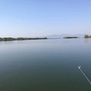 路亚lureFishingglobe头像