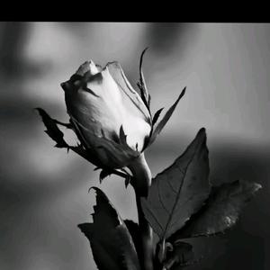 不想长大的菇凉头像