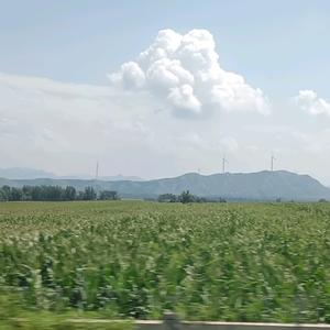 与美好不期而遇头像