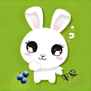 蓝莓甜兔子🍀头像