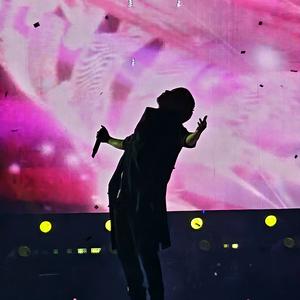 李多肉的花盆🥕头像