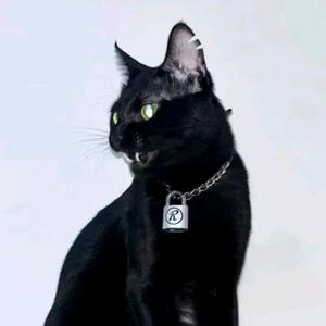 虚构微型牛肉丸头像