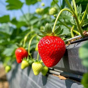 澎牧动保工厂头像