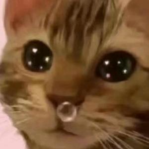 花果山山路收费站头像