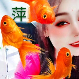 萍果大舞台🐒喜欢在上台【帥】头像