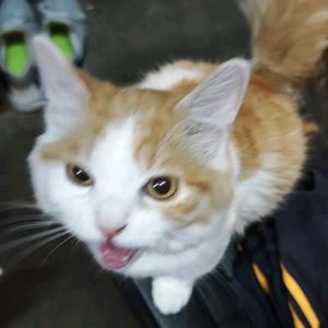 花花公子💐头像