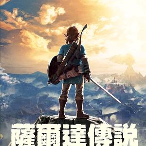 除了主线救塞尔达什么任务都做的剑士林克头像