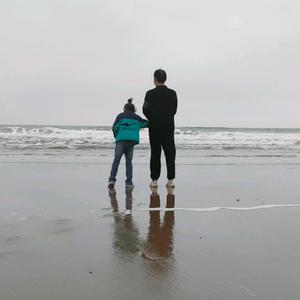 天津馨居墙布（小韩）头像